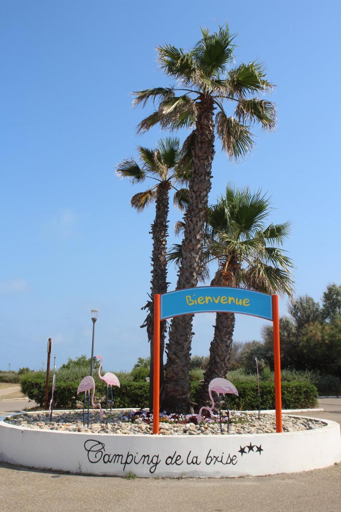 Camping La Brise De Camargue Les Les Saintes-Maries-de-la-Mer Extérieur photo